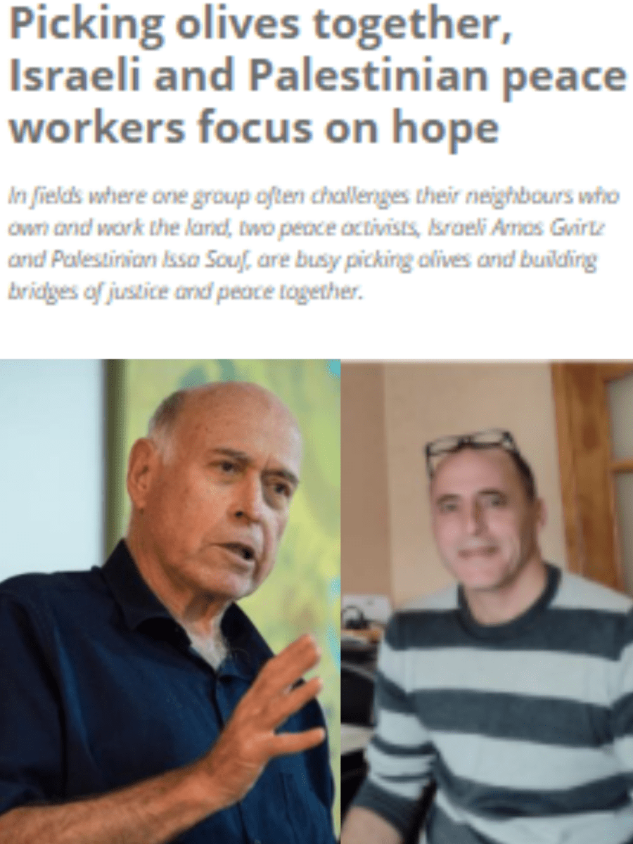 Picking olives together, Israeli and Palestinian peace workers focus on&nbsp;hope
